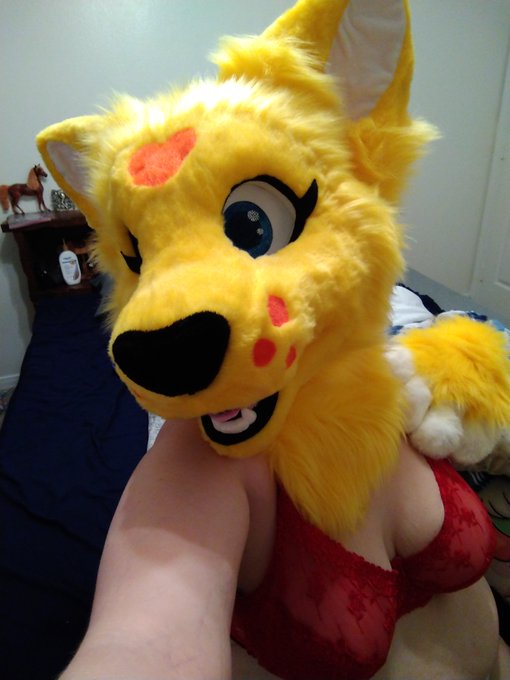 Good Morning everyone! Thought I would share something for everyone having one of those mondays. Left<a href="/tag/mondays"class="tags"><span>#mondays</span></a><a href="/tag/thicc"class="tags"><span>#thicc</span></a><a href="/tag/fursuiteveryday"class="tags"><span>#fursuiteveryday</span></a>