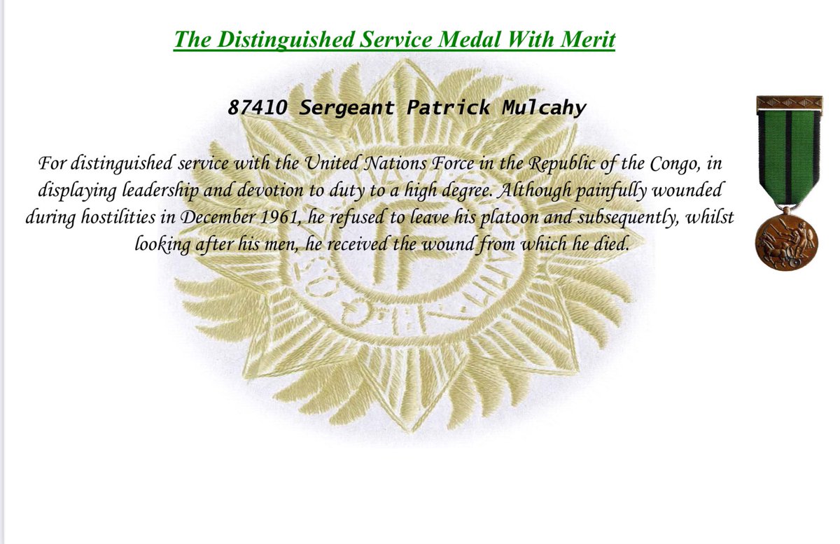 We have decided to start a new tradition by naming them in honour of Sgt Paddy Mulcahy DSM, A Coy 36 Bn. We hope to inculcate our Unit & Corps traditions and the DF Values by reminding these Recruits of the bravery & sacrifice of this exceptional Artillery NCO #physicalcourage