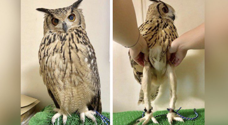 Esther Schmidt tweet media