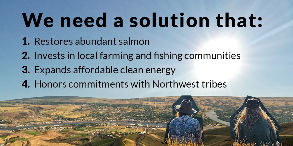 whales_org's tweet photo. #5 - Save Southern Resident orcas!  
@PattyMurray @SenatorCantwell @RepDerekKilmer - we need you to get involved &amp; improve the infrastructure plan. All 75 SR orcas depend on you!

To take part in our Week of Action, sign up to be an #OrcaHero - https://t.co/88aqzIhLpL https://t.co/55gcjOXRXO