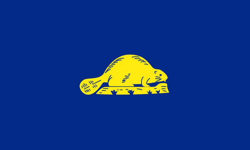 Oh shit, Oregon has a design on the back of the flag as well? I love it. It is so ridiculous and simple and. It's just a giant beaver. Thank you for this, Oregon/10