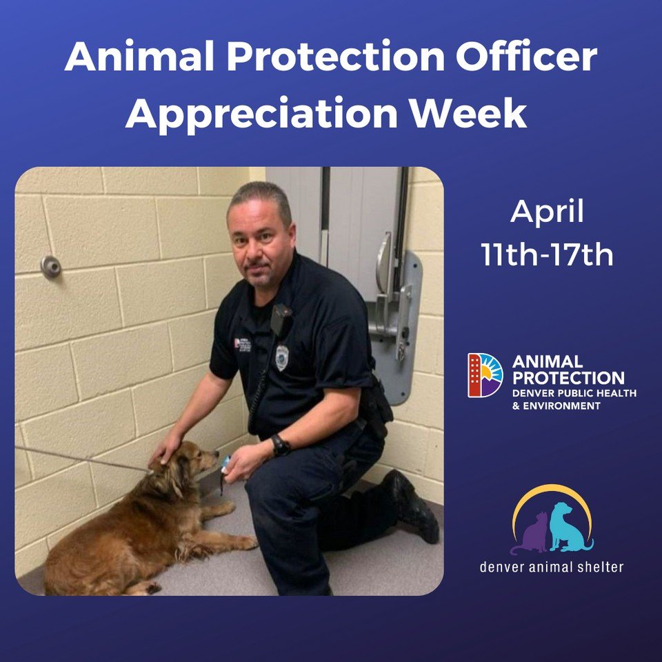 Denver Animal Shelter on Twitter: Denver Animal Shelter on Twitter: