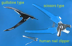 After a while of this, you can introduce the clipper. Now! There are different types of clippers! These three are the most common: [source:  https://www.vetmed.wsu.edu/outreach/Pet-Health-Topics/categories/procedures/cats/clipping-your-cat's-claws#:~:text=There%20are%20several%20styles%20of,is%20curling%20in%20a%20circle.]