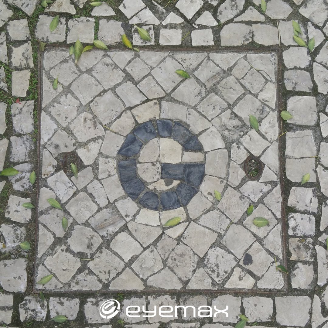 EyeMaxGroup's tweet image. In case you missed it, Google My Business has added some helpful (and FREE 🙌 ) features to help boost your practice's online presence.  Check out these 5 recent updates:  ow.ly/83mK50EmOmM

#eyemaxgroup #eyemaxrefractivegroup #ophthalmology #onlinepresence