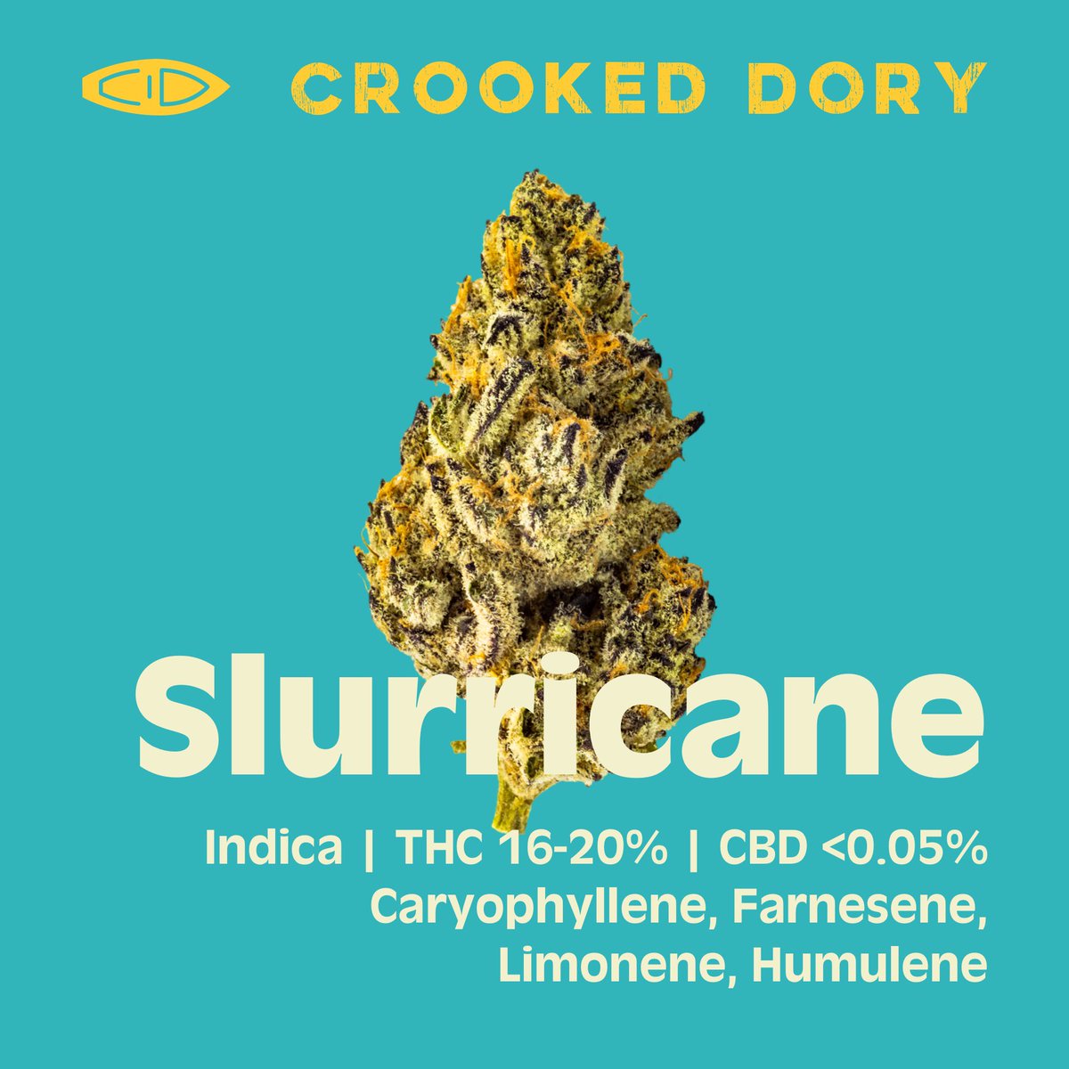 Grabbing some packs of <a href="/CrookedDory/">CrookedDory</a> for the homies!🔥🙌<a href="/ZiadReda13/">Ziad Reda</a> <a href="/youssefredaaaa/">Youssef Reda</a> <a href="/lovechoi/">chinese balls</a> <a href="/HugoAlves1972/">Hugo Alves</a>