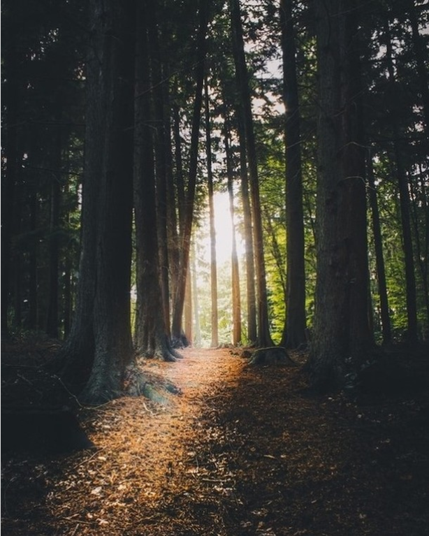 ACESEnvironment's tweet image. Do you know a local college student interested in contributing their efforts to combat climate change? ACES Alliance is looking for environmentally-minded students to aid in our organization. Visit our website for more information. Link in profile. #newburyport #environment