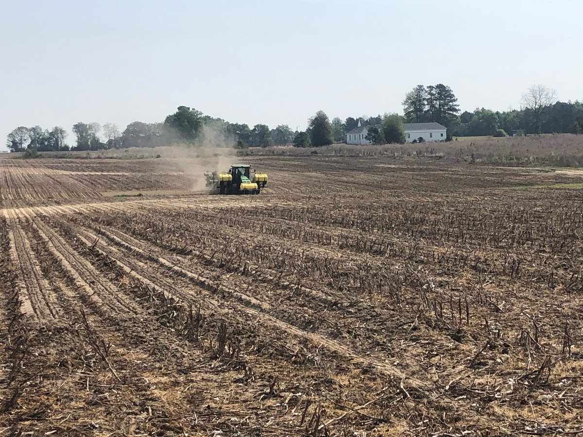 HighWireCHS's tweet photo. This beautiful Spring weather heralds the start of our growing season. Weβre planting over 300 acres of Jimmy Red corn this year at 4 different family owned farms. Always thankful for our farm partners and their dedication to the quality of our whiskey! #scgrown #craftwhiskey https://t.co/PDQo04Vkem