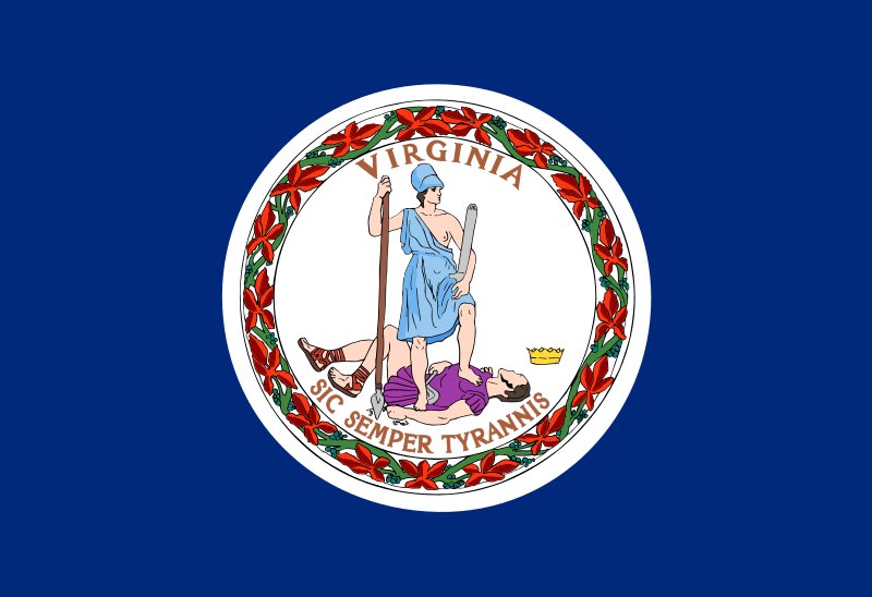 Y’all. The flag of Virginia just has a whole damn murder scene on it./10