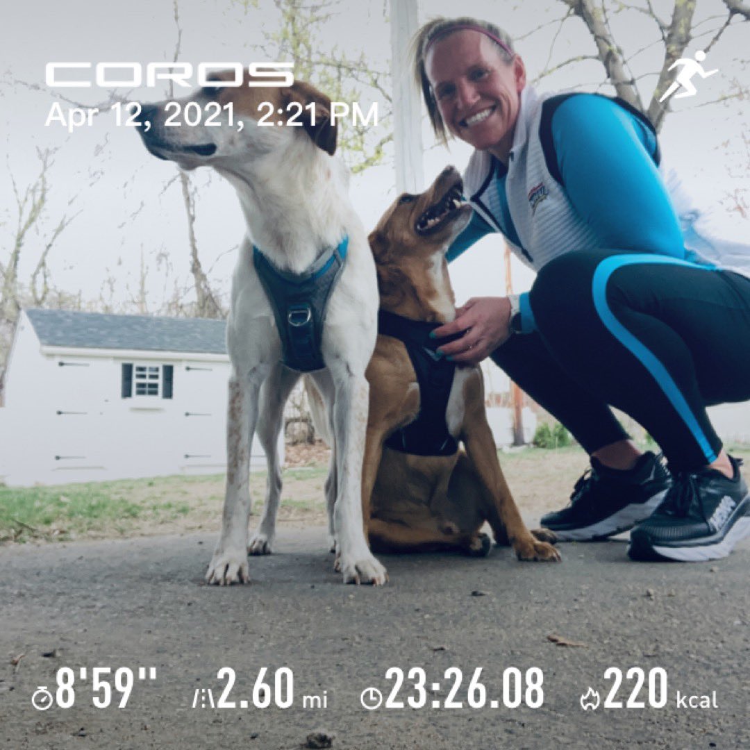 golfingirl525's tweet image. Quick run on my late lunch break today w the pups. Get you someone who looks at you the way my Jack looks at me 😍 Arnold could care less 😂 #girlswhorun #dogswhorun #runner #dogmom #arnoldandjack