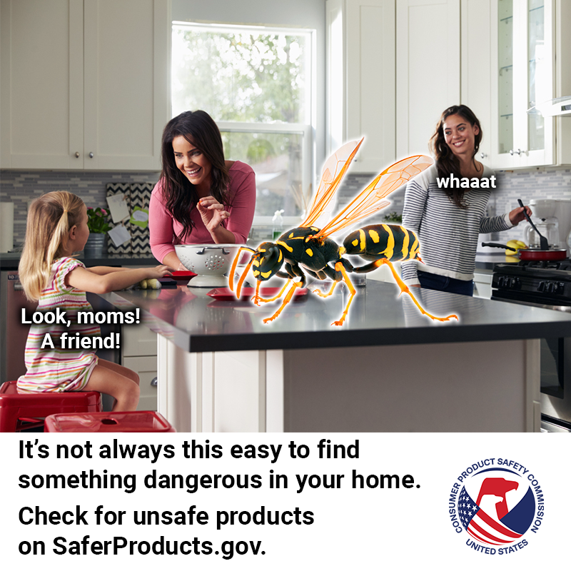 Two moms and their daughter in the kitchen. There is a giant wasp the size of a dog on their kitchen island. Their daughter says, "Look, moms! A friend!" One mom replies "Whaaaaat." The text reads: It's not always this easy to find something dangerous in your home. Check for unsafe products on SaferProducts.gov