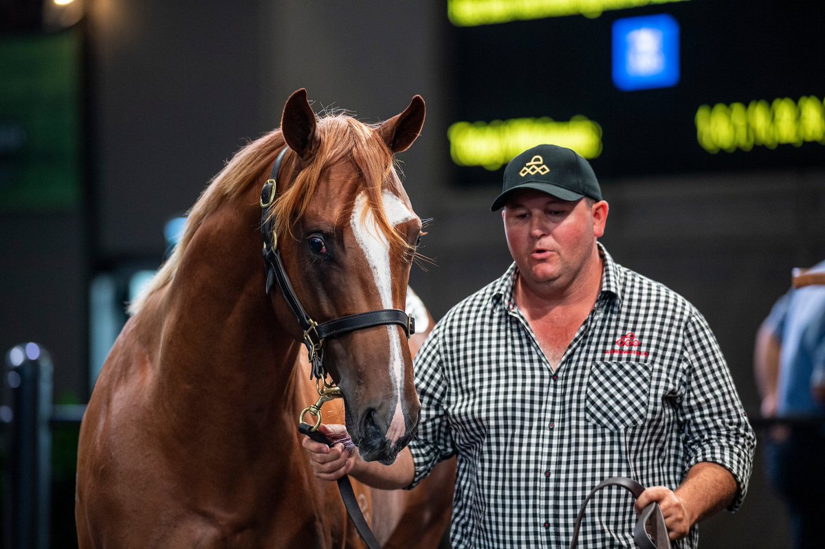 Jo McKinnon tweet media