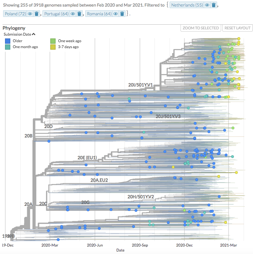 nextstrain's tweet photo. Check out the new sequences from Netherlands (1702), Poland (225), Portugal (2) and Romania (20) below.

(Thanks to @rivm @univgroningen @MaastrichtU @JagiellonskiUni @k_pyrc @genXone_SA #iBiMED @UnivAveiro Emergency County Hospital Craiova)

11/21 https://t.co/DiT6zVUlD4