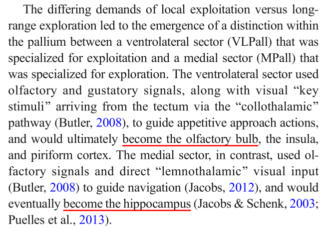 This is super cool, and might fit with Friedrich Sanides's idea about the dual origin of the cortex: the parahippocampal and paraolfactory moeities.Sanides is really hard to parse, but this review from my labmates is a good starting point:  https://www.ncbi.nlm.nih.gov/pmc/articles/PMC6500485/