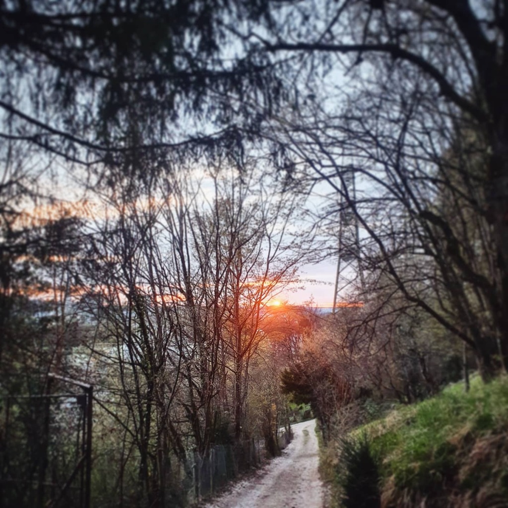 Kung_FuPrincess's tweet photo. Just enjoying the sunset and remembering that I truly just have this one life. 
I shouldn't give others the power to ruin my day. So it's ok. Instead I am going to enjoy the scenery and be thankful for what and who I have in my life 🥰
#sunset #forest… https://t.co/Y0KJ6Xmvfw https://t.co/fVZ51DABH2