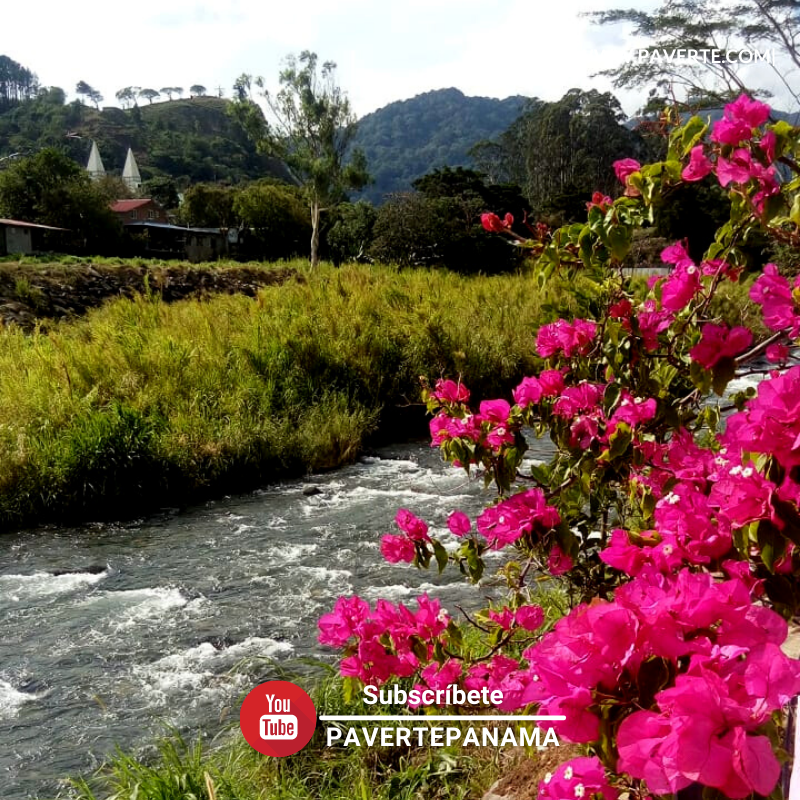 Pavertec's tweet photo. Flores de mi tierra.
.
#veraneras
.
#panama #boquete #flores #colores #rojos #enjoylife #photography #celularphotography #rios #instaphoto #wordlplaces #lugares #adventures #travelling #viajeroSoltiario #travel #trip #flowers #red #paverte #explora507 #adventures https://t.co/EGZi0reT14