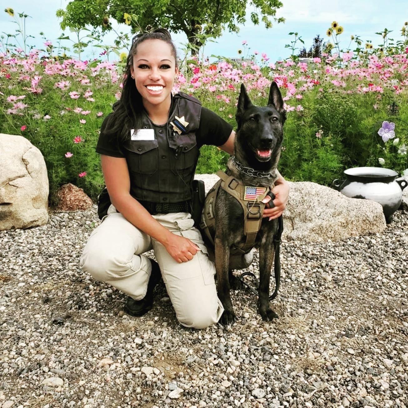 Grand Sierra Resort Sahara K 9 Security Unit Is A Hard Working Gsr Team Member Safety Is One Of Our Most Important Values Gsrstrong Gsrcares Safetyfirst K9unit Security T Co Gmqohxf8gg Twitter