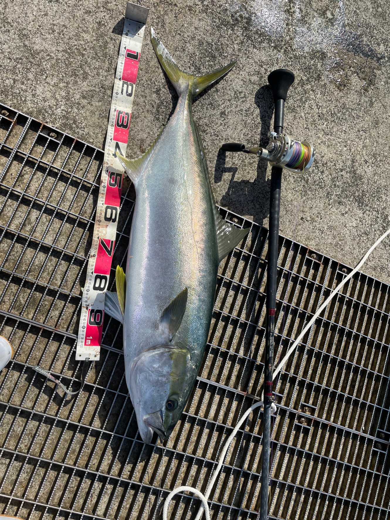 史也 菊池 久しぶりにヒラマサ17キロ 八丈島 ヒラマサ 堤防 マグロ Nft アベット T Co Qsbpa17o61 Twitter