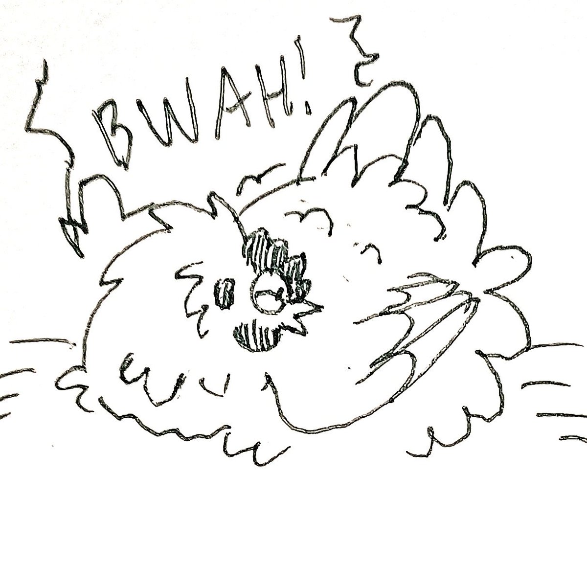MakennaMadeThis's tweet photo. Tis the season for moody broody chunckens #chickens #tinyfluffydinosaurs #ArtistOnTwitter #chickennotes https://t.co/14Jn6fvQd4