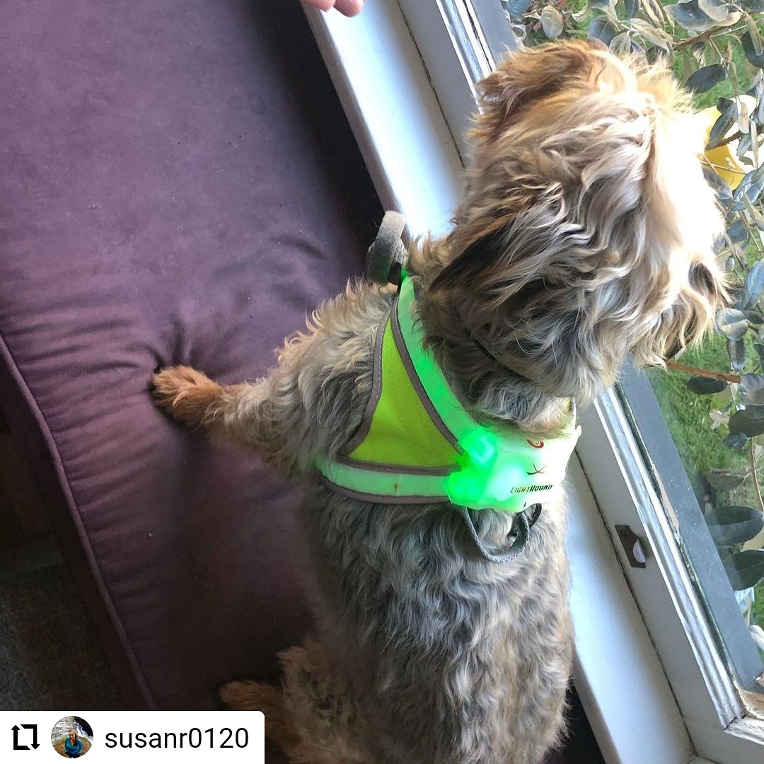 #noxgearnation! Check out Ambassador <a href="/sreehill/">Susan Reehill</a>'s giveaway!

Head over to her IG page to enter! @susanr0120
...
Okay friends and fam, you have a really good chance of winning either a Tracer360 or the LightHound, both of which are life savers!