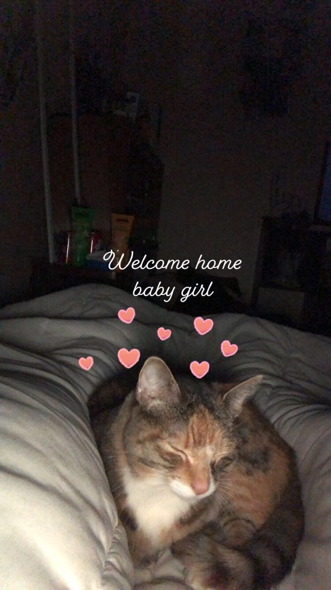 Mama misses you already. RIP Nelly girl💗
