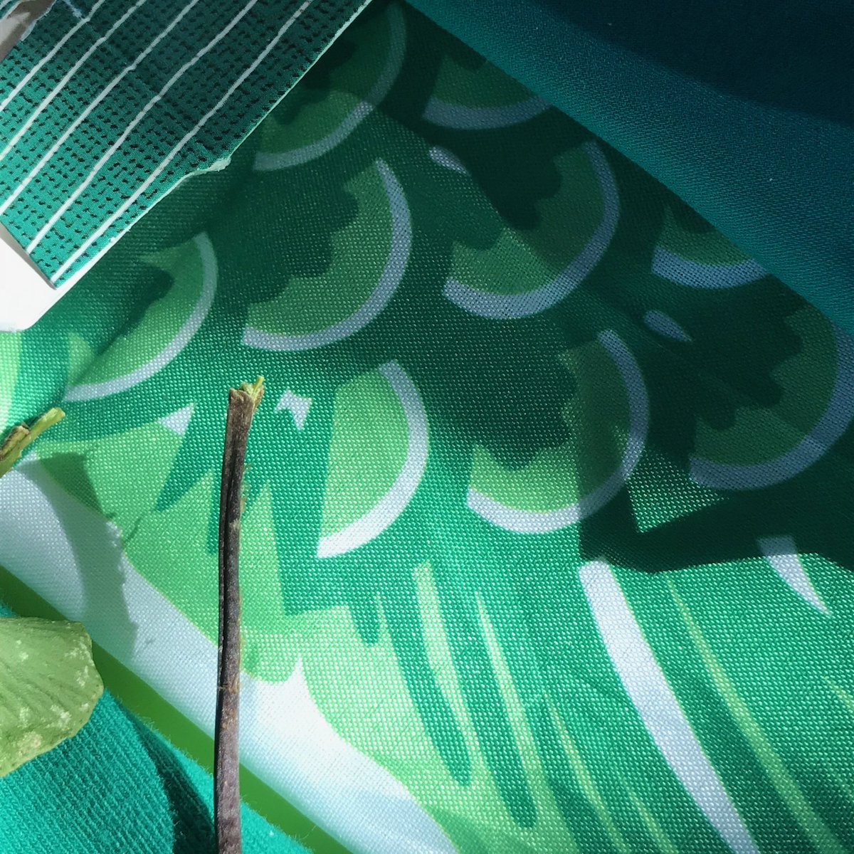 ISCouleurs's tweet photo. « Un petit poisson japonais qui joue à cache à cache dans l'appartement, petit souvenir du quartier de chinatown de New-York, à l'époque où l'on pouvait encore voyager ! », M., 37, Rouen. #impressionsoleilcouleurs #ISC #byCitémômes 🐠 https://t.co/fDqvkN98IG