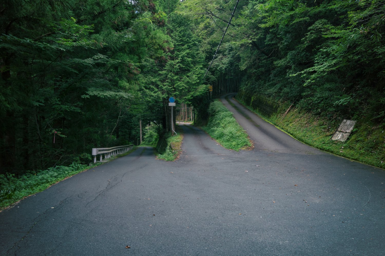 Headless Ratman Colethefatcat Twitter