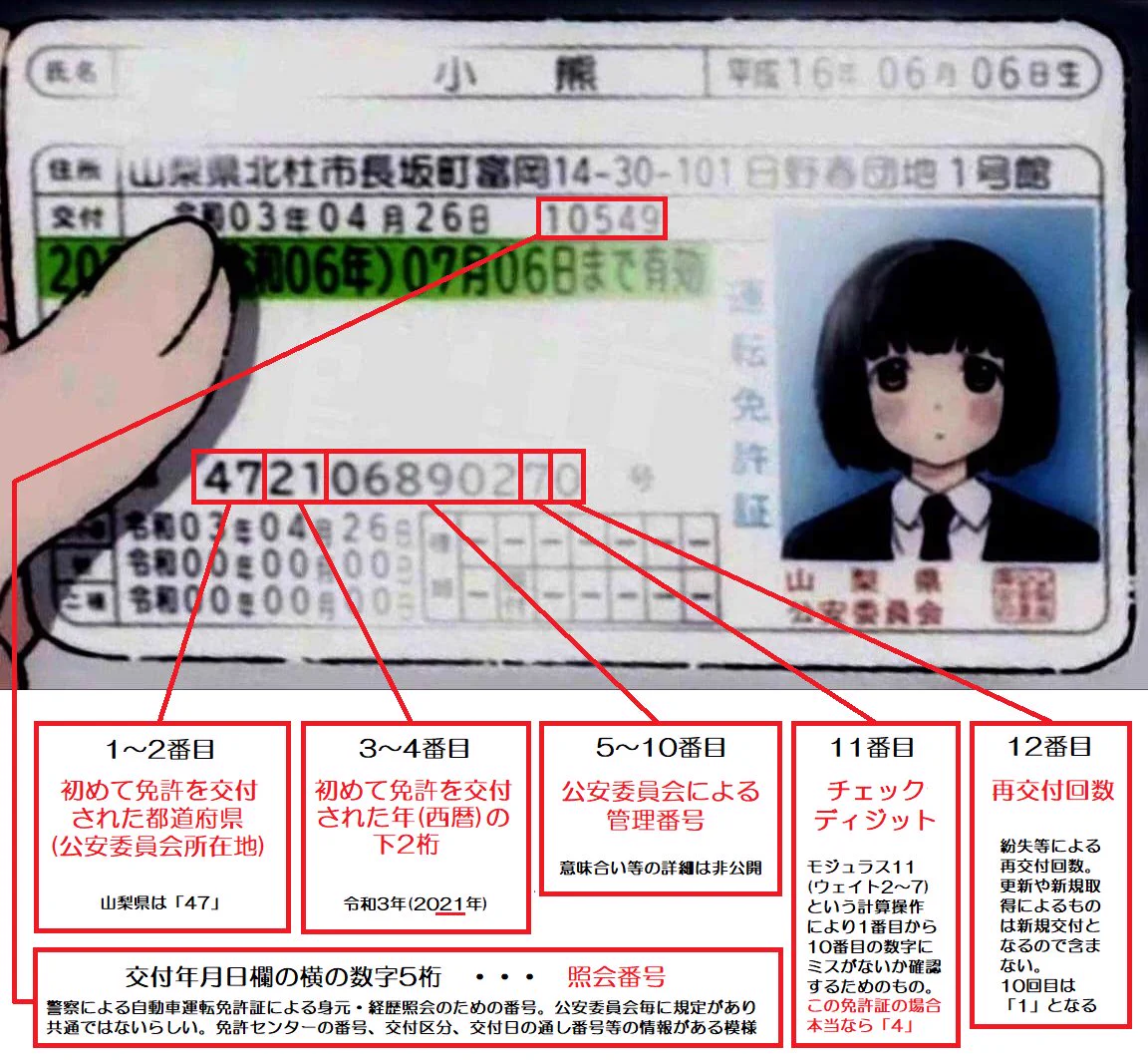 免許証に記載されている12桁の免許証番号には？それぞれ意味がある！