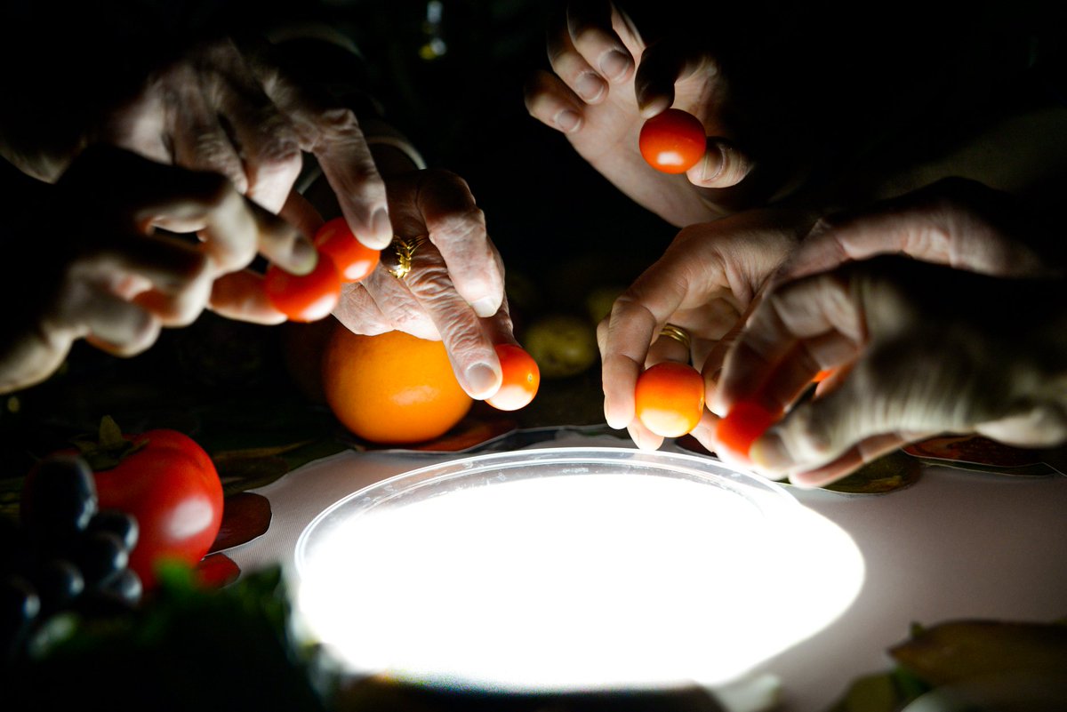 lancasterarts's tweet photo. Are you tuning in for May Contain Food?
Don't forget to take pictures of your dishes and share with us via message or by posting and tagging:
@lancasterartsuk
@proteindance
#MayContainFood
Book now π« https://t.co/YsQD5pQ2Jh
π· Anna Bruce
#DigitalTheatre #OnlineTheatre https://t.co/h3P9mwlj5W
