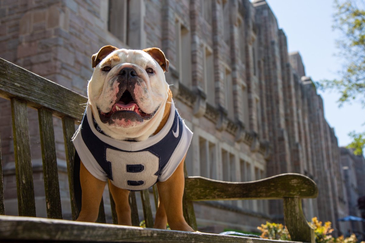 TheButlerBlue's tweet image. Happy Last Day of Class! You are all doing remarkable, I believe in you! #GoDawgs