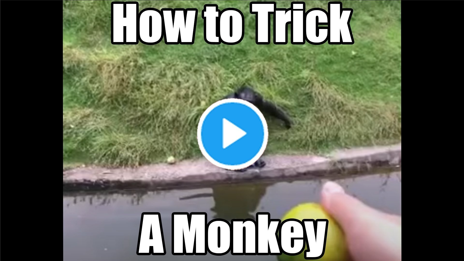 REDACTED on Twitter: 