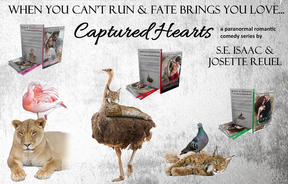 SiobhanIsaac's tweet photo. #PNR #Romance #Shifters #Cats #ScaredyCats #fatedlove #mates #Birds #Humour #RomCom #SEIsaac #JosetteReuel
Pride & Flamboyance: https://t.co/4jhqjk4pVU
Instincts & Sensibility: https://t.co/RMuKKQTpk1
Hunt & Friendship: https://t.co/XwYee0Webi https://t.co/V55WMYlHZ2
