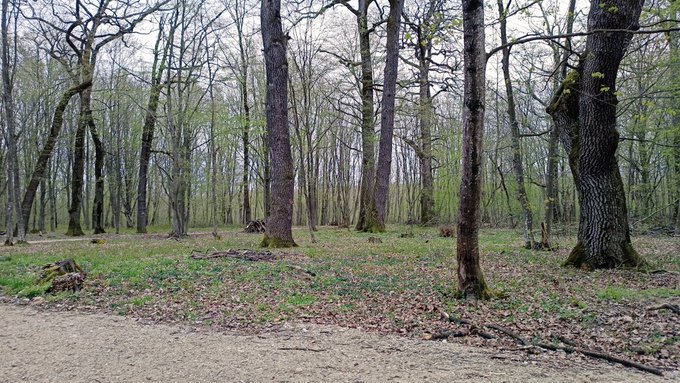 1 pic. We decided to go out for a hike after a pretty stressful week, enjoy some time out in the nature