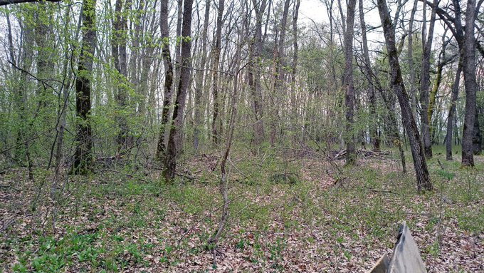 2 pic. We decided to go out for a hike after a pretty stressful week, enjoy some time out in the nature