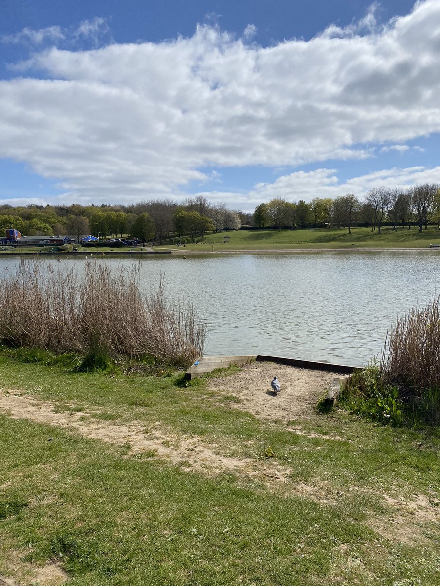 Sam Metalli-Haward (@sammethaward) on Twitter photo This is Fairlands lake in Stevenage. It looks so peaceful and inviting on a hot sunny day. If you find yourself unexpectedly in the water fight the urge to swim and float to live. For more information visit rnli.org/safety/respect… <a href="/julieolie/">Julie Springett</a> #BeWaterAware This is Fairlands lake in Stevenage. It looks so peaceful and inviting on a hot sunny day. If you find yourself unexpectedly in the water fight the urge to swim and float to live. For more information visit rnli.org/safety/respect… <a href="/julieolie/">Julie Springett</a> #BeWaterAware