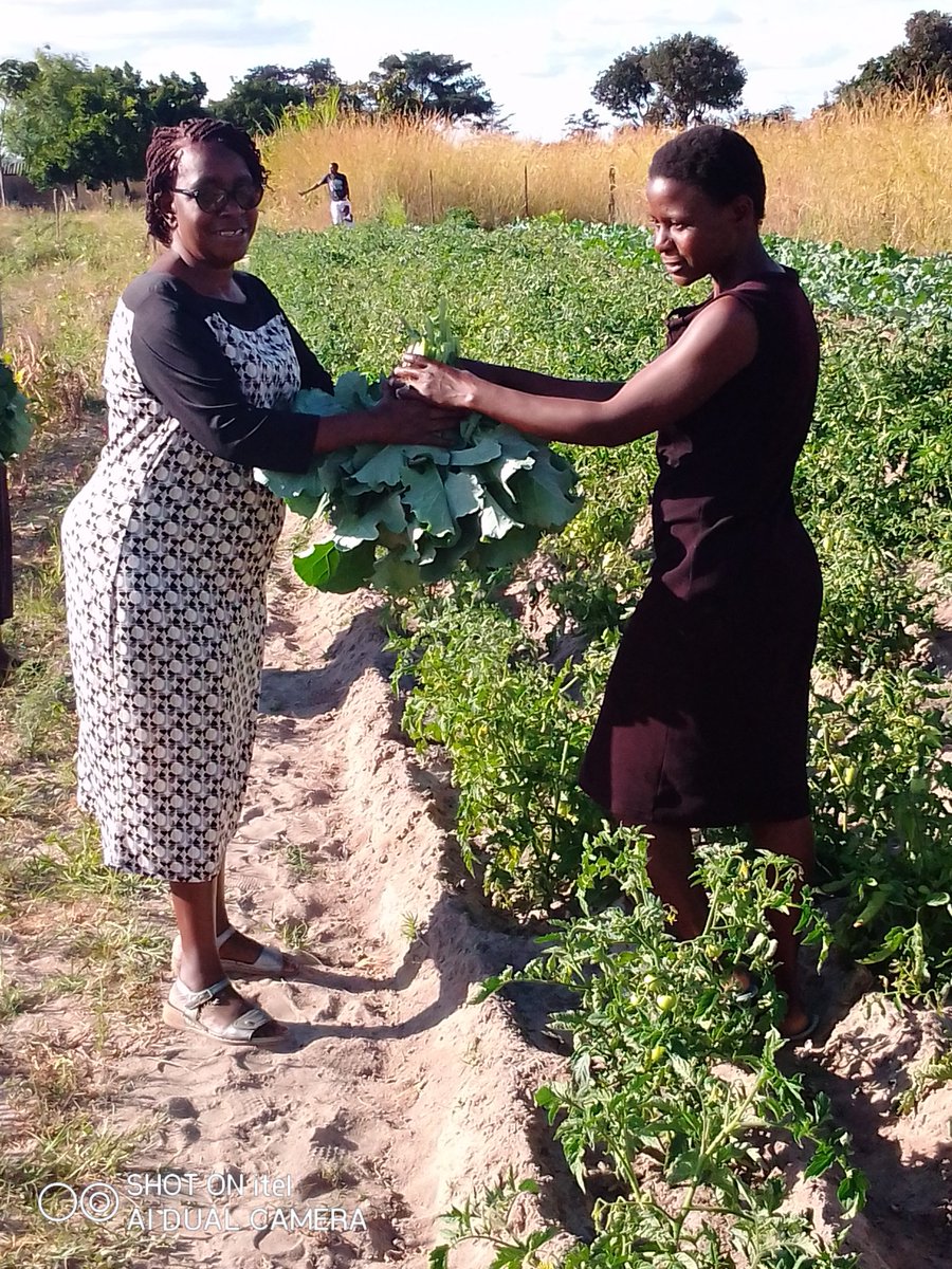 femprist femprist tweet media