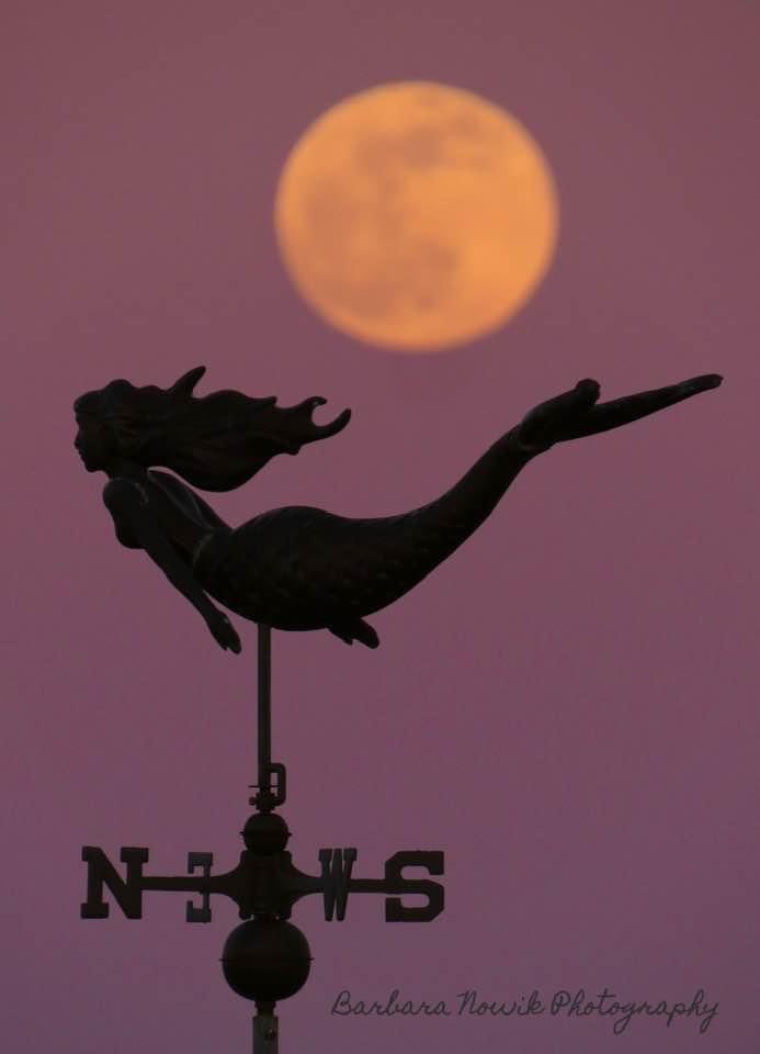 Pink full moon — beautiful! 📷: Barbara Nowik