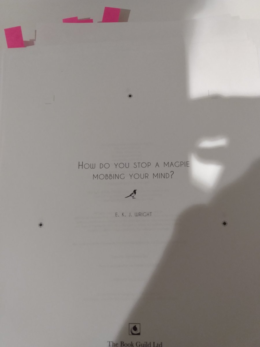EKJWright1's tweet photo. Almost ready to let my little nestling fly...
#HowdoyouStopaMagpieMobbingyourMind #finalchecks #recoveryispossible #Sussexcountryside @BookGuild @beatED @SussexWildlife https://t.co/OtrOkpT2N9