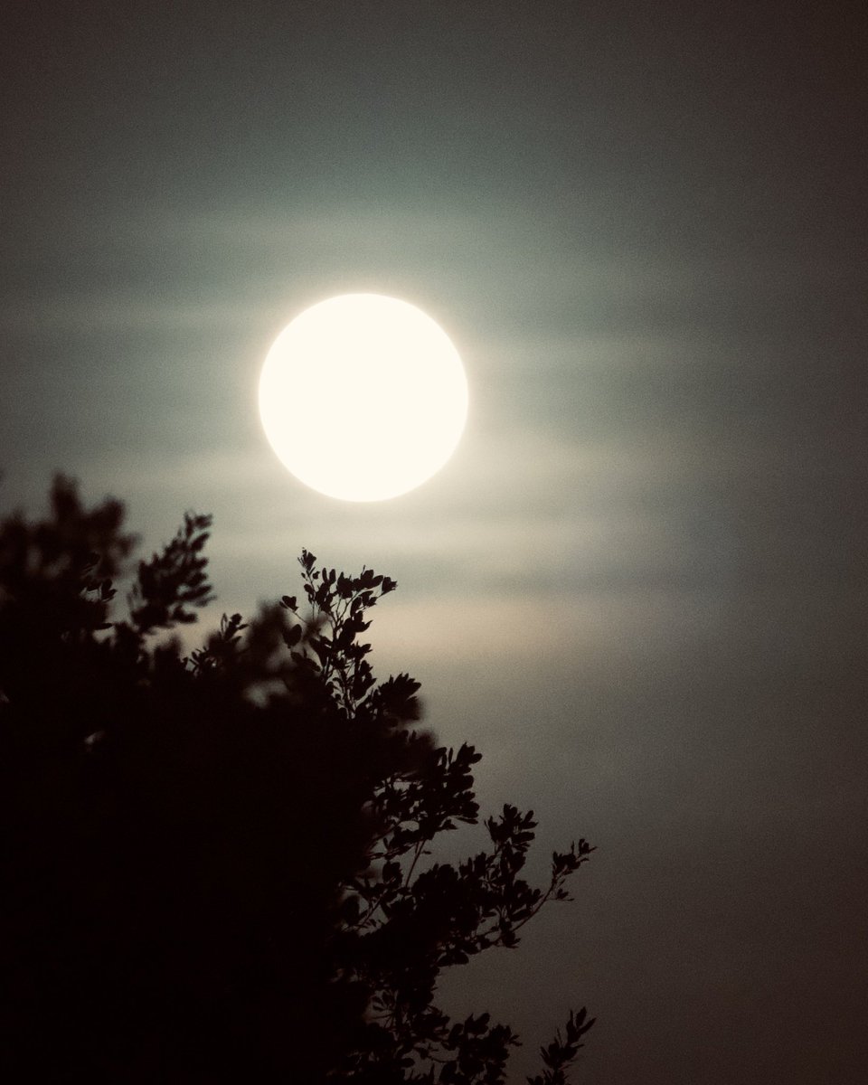 chaplainlc's tweet image. Last night’s full moon. It was magnificent!