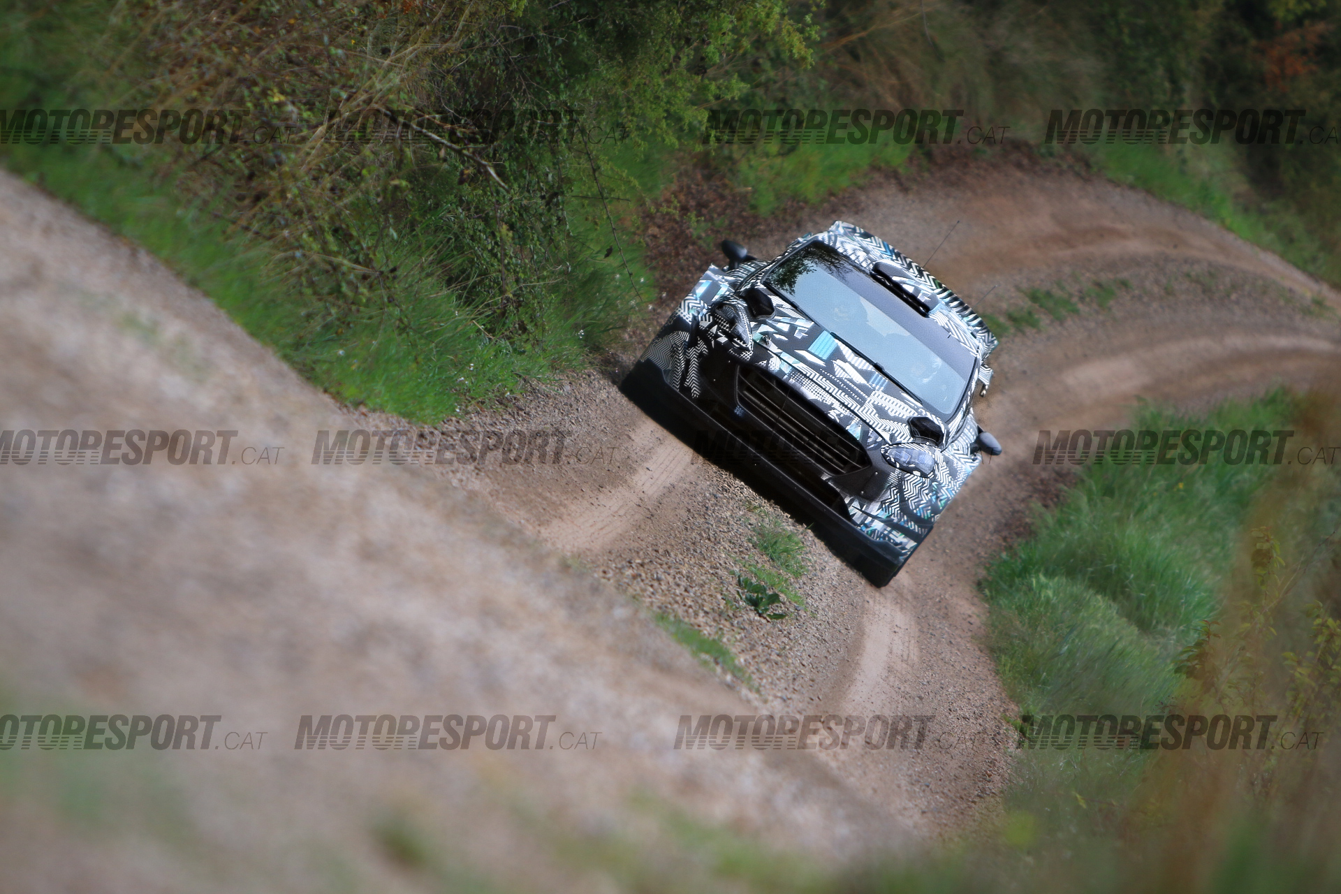 World Rally Championship: Temporada 2021 - Página 23 Ez-G01sXEAMcmzV?format=jpg&name=large