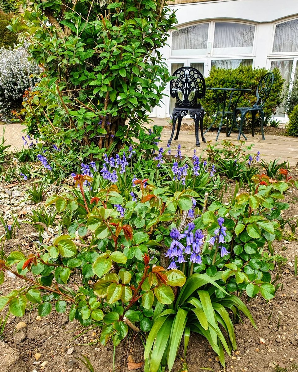 Spring is in the air folks!
Why not come along and have some lunch and enjoy our beautiful gardens?
We look forward to another great week!
Stay Safe,
The Great Northern Team ♥️