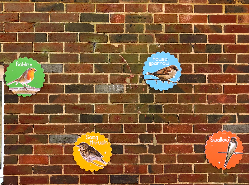 WindleshamTweet's tweet photo. As we increase our outdoor learning, we have added even more to the outside walls. We now have pictures and information on different bird species up outside the medical centre.
#WindleshamValues #ExpansiveLearning #Resourceful #SpatialAwareness #DeeperLearning https://t.co/CTggvHXfmz