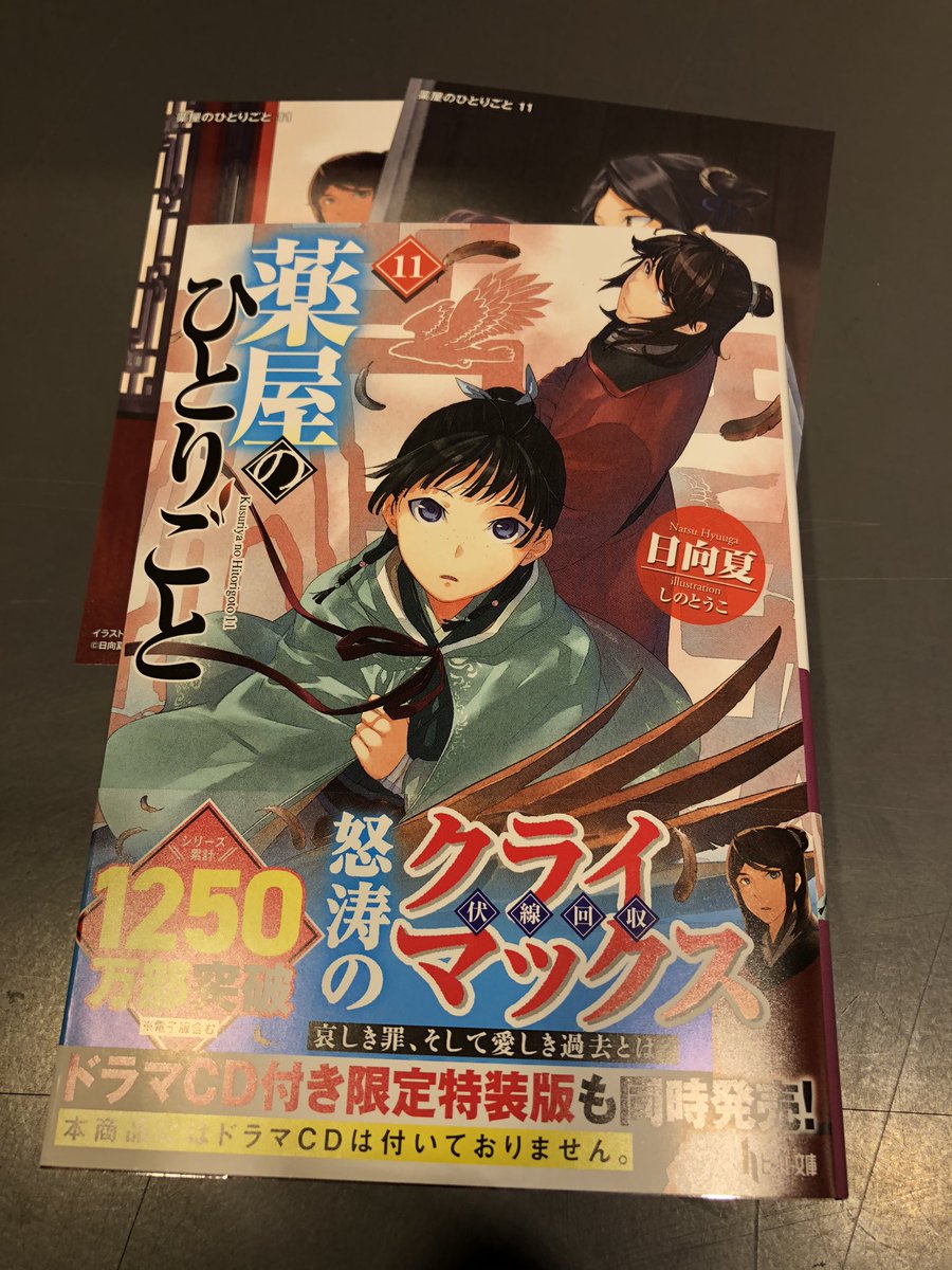 薬屋のひとりごと 11巻 小説 Www Hermosa Co Jp