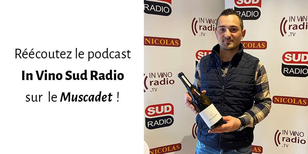 MenardGaborit's tweet photo. @francoismenar était l'invité du #Podcast @InVinoRadio, aux côtés d'@AlainMartyAm, Hélène Piot, David Cobbold et Philippe Faure-Brac @fbphilippe75. 
🎙️ Vous pouvez ré-écouter en cliquant sur le lien suivant :
https://t.co/pCF7M1Uqqh...
#Muscadet #Vigneron #Vin #Radio https://t.co/p1ChEuiaXz