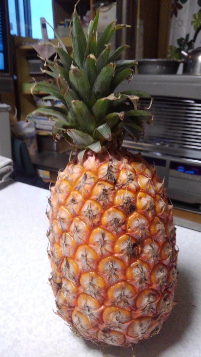 Oshita Katsuya Floweroshita Twitter Oshita Katsuya Floweroshita Twitter