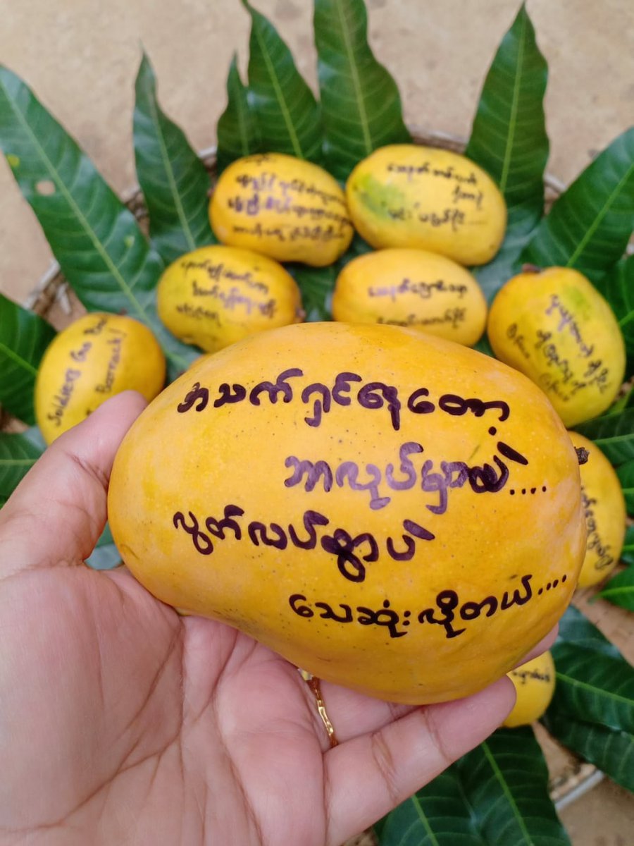 VinkyV1's tweet photo. "What will you do if you are alive?
We want to die freely",cute Mango Strike in #NantSan,#Shan state today. Creativitiy of these Brave Civillians is amazing.
#Apr27Coup
#WhatsHappeningInMyanmar
#MilkTeaAlliance https://t.co/K3FACVOhfe
