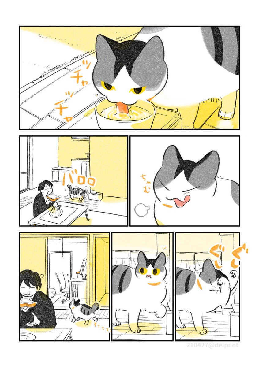ほっこりした気持ちになる･･･！寝心地の良いベッドの上よりも飼い主の隣で眠りたい猫！