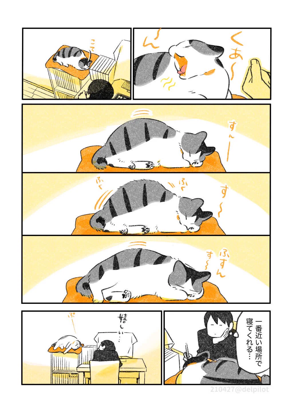 ほっこりした気持ちになる･･･！寝心地の良いベッドの上よりも飼い主の隣で眠りたい猫！