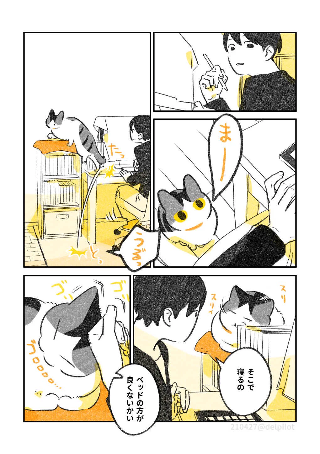 ほっこりした気持ちになる･･･！寝心地の良いベッドの上よりも飼い主の隣で眠りたい猫！