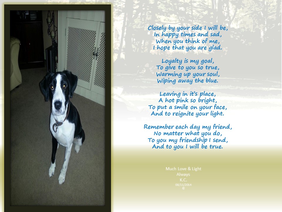 kcshelly's tweet image. I have added a couple of pictures to my facebook page "Poetry In Emotion" if you feel to please go and take a look x sending blessings of love and light always x have a blessed day xx