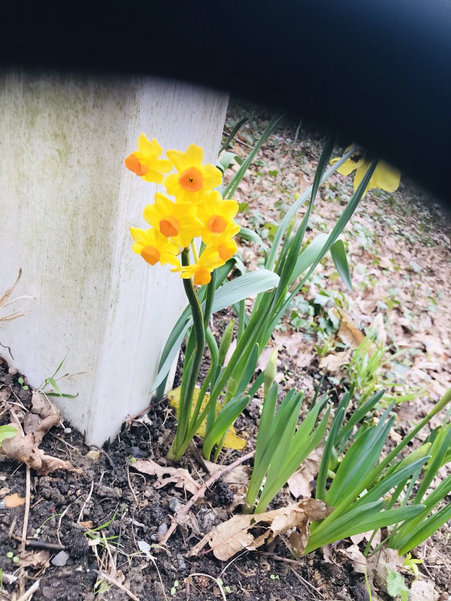 paulcrosland's tweet image. I’ve extracted this gem from a second listening to #PoetryEast meets #CharlesEisenstein(&amp;amp; paraphrased his words):
44minutes in we begin a section on Why people #GoForRefuge to #BuddhistPolitics(as understood by members of #TriratnaBuddhistCommunity);to gain a sense of #identity..